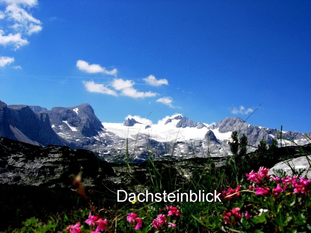 オーバートラウンHaus Alpenblickアパートメント エクステリア 写真