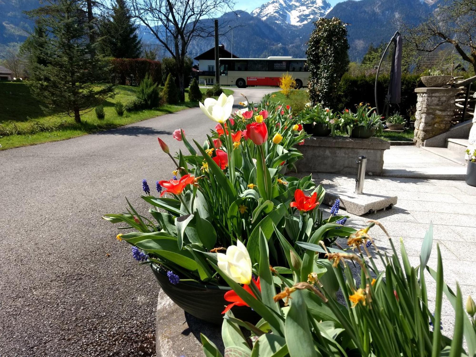 オーバートラウンHaus Alpenblickアパートメント エクステリア 写真